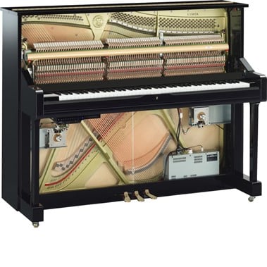 TransAcoustic